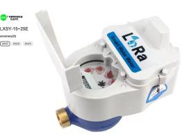 Residential water meter with remote reader​