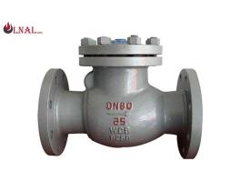 Ductile Iron Check Valve, API 6D GOST Standard, Flange RF Ends, PN40 Pressure Rating